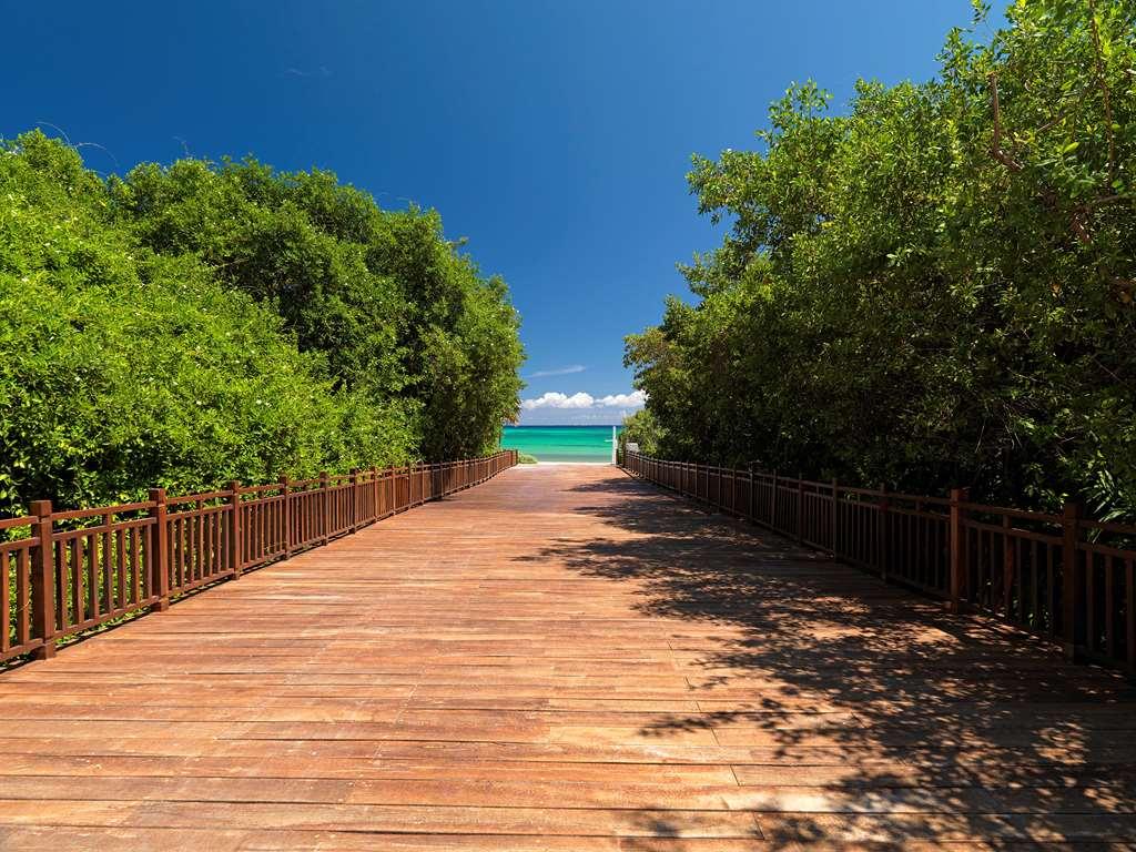 The Reserve Paradisus Playa Del Carmen (Adults Only) Natuur foto