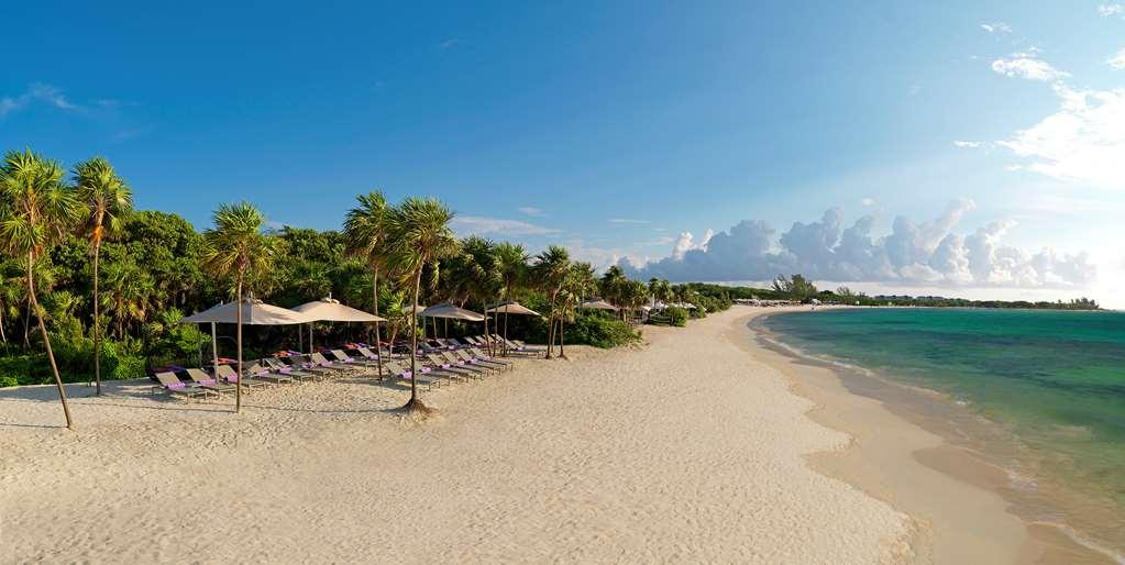 The Reserve Paradisus Playa Del Carmen (Adults Only) Natuur foto
